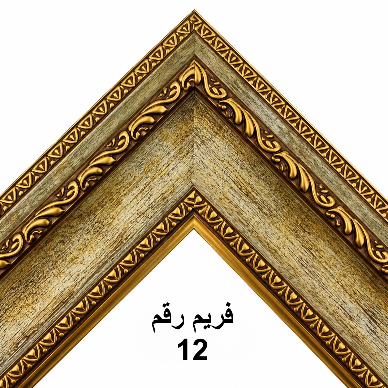 صورة فريم 12