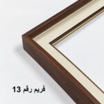فريم رقم 13