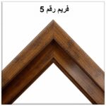 فريم رقم 5